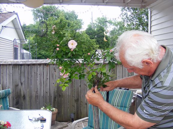 Al Doing Grafts photo 2014_06230002_zpsfe90521e.jpg